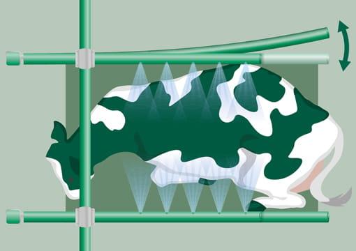 Liegeboxenbügel mit Belüftung