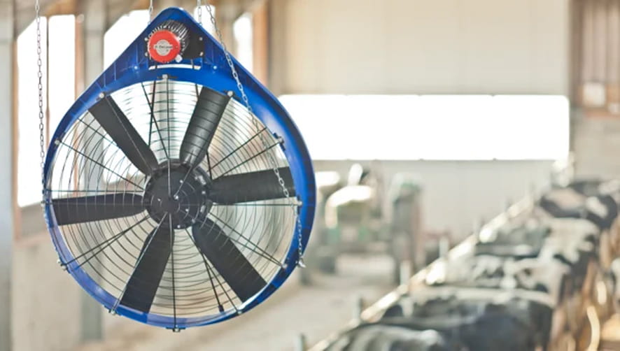 Ventilator zur Stallkühlung